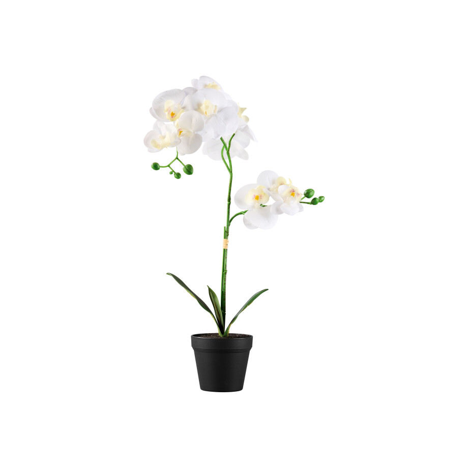 LIVARNO home Kunstplant (Orchidee) LIVARNO home Kunstplant (Orchidee) afbeelding