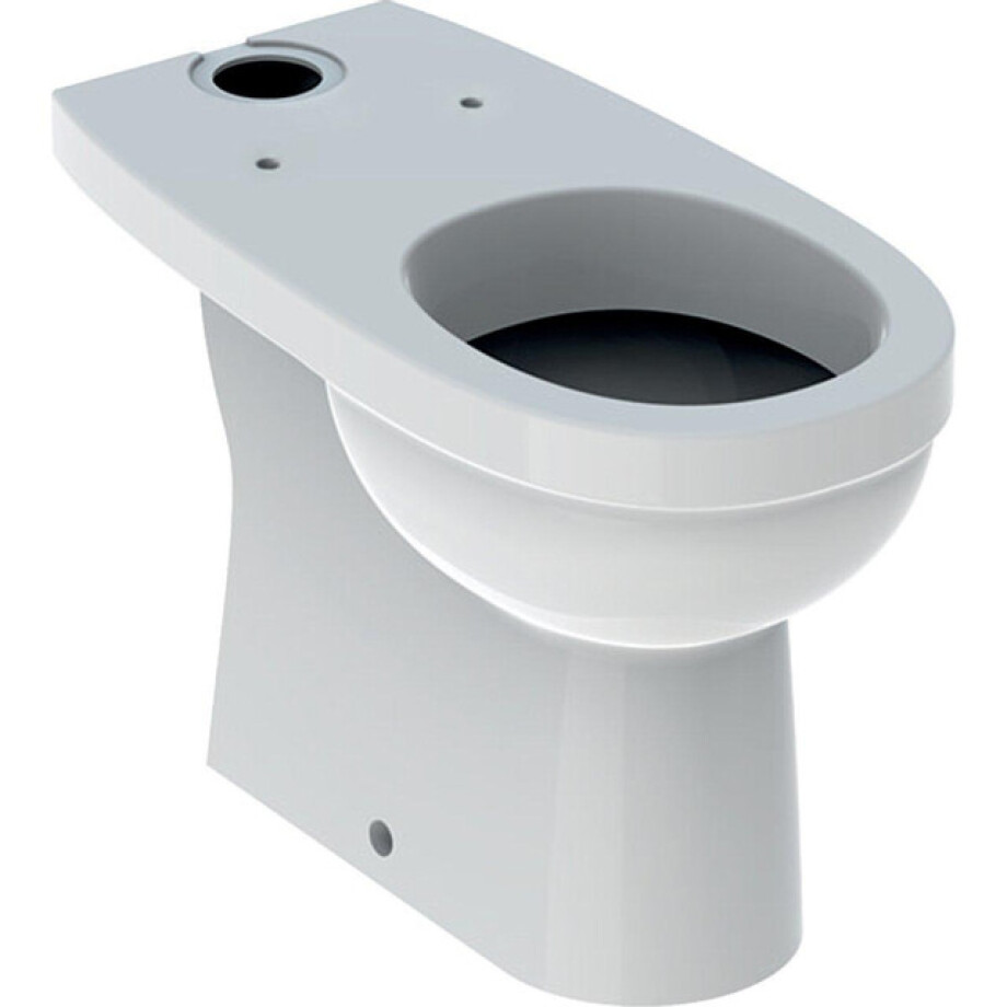 Geberit 300 Comfort duoblokpot-49 verhoogd +6cm diepspoel 35.5x69cm AO wit s8101400000g afbeelding 1