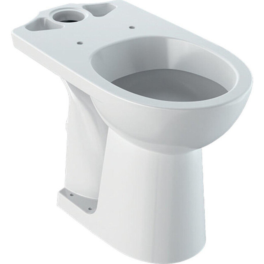 Geberit 300 Comfort duoblokpot verhoogd +6cm diepspoel zonder reservoir 36x67cm PK wit s8141500000g afbeelding 1