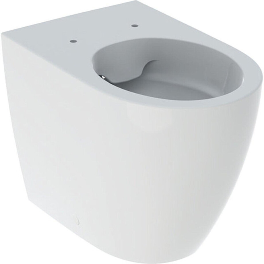 Geberit Icon Closet Staand - 41cm - back to wall - PK - rimfree - keratect - wit 502.382.00.8 afbeelding 1