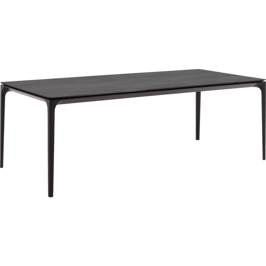 Goossens Excellent Eettafel Uniek, Rechthoekig 200 x 100 cm Goossens Excellent Eettafel Uniek, Rechthoekig 200 x 100 cm afbeelding 1