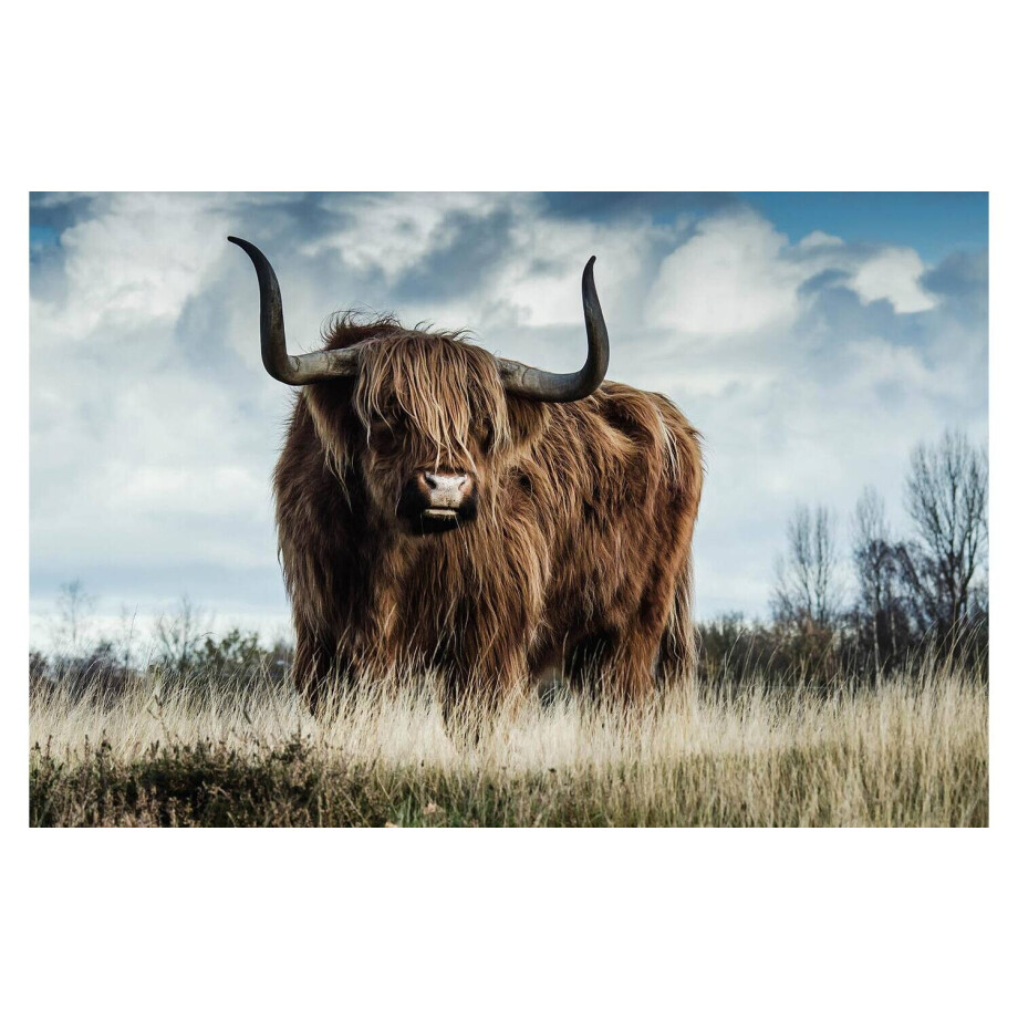 Goossens Schilderij Urban Wildlife 1, 148 x 98 cm Goossens Schilderij Urban Wildlife 1, 148 x 98 cm afbeelding 1