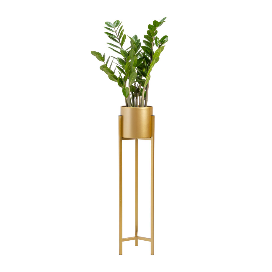 QUVIO Plantenstandaard - 22x22x90 cm - Goud - L afbeelding 1