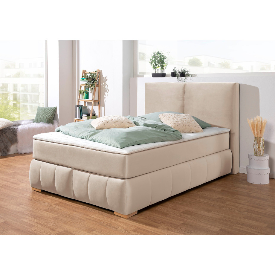 Guido Maria Kretschmer Home&Living Boxspring Wehma incl. matrastopper voor 3 verschillende matrassen, ook in fluwelen stof afbeelding 1