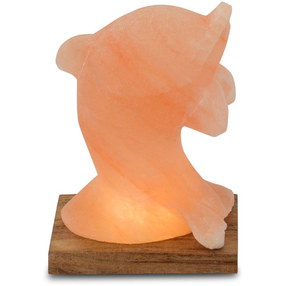 HIMALAYA SALT DREAMS Zoutkristal-tafellamp Dolfijn Met de hand gemaakt van zoutkristal - iedere steen uniek, H: ca.15 cm (1 stuk) afbeelding 1