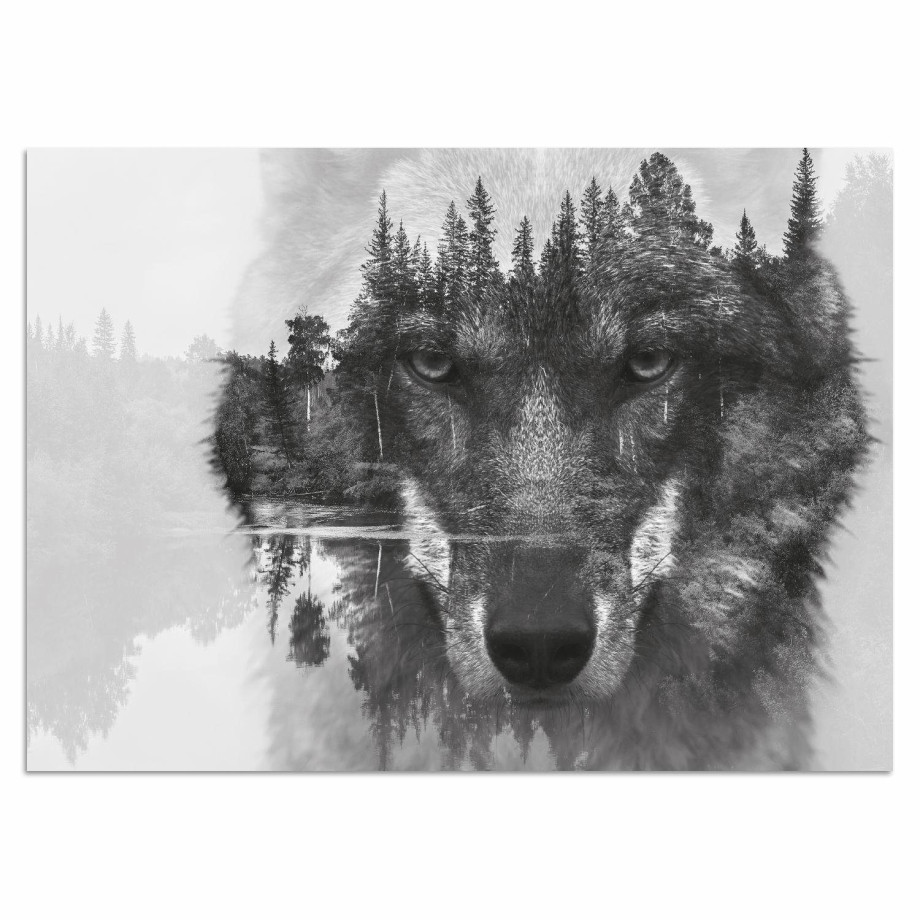 Home affaire Artprint op acrylglas Wolf Fine Art-print in galeriekwaliteit afbeelding 1