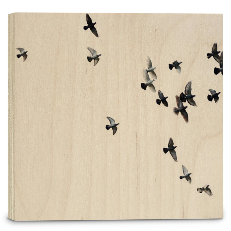 Houtprint Birds | Orangewallz afbeelding 1