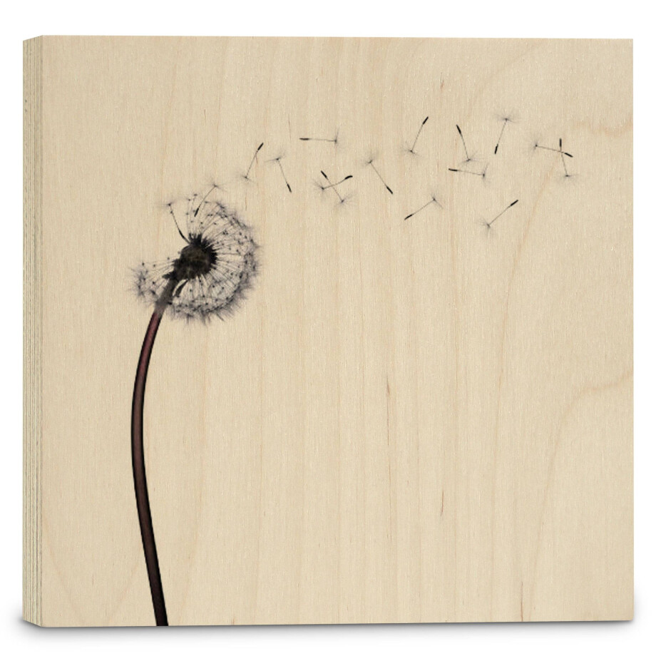 Houtprint Dandelion | Orangewallz afbeelding 1