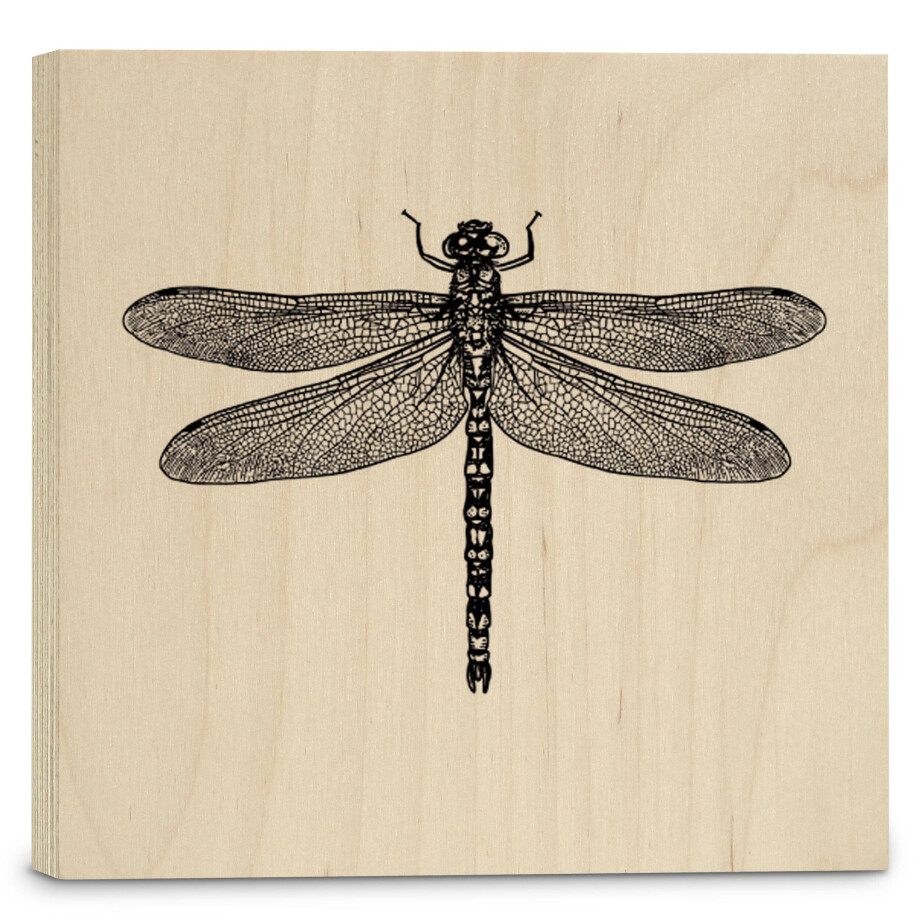 Houtprint Dragonfly | Orangewallz afbeelding 1