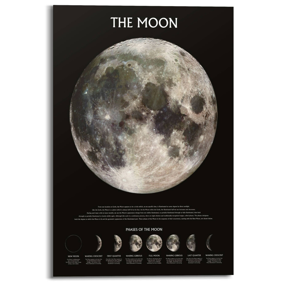 Houtprint The Moon Phases | Orangewallz afbeelding 1