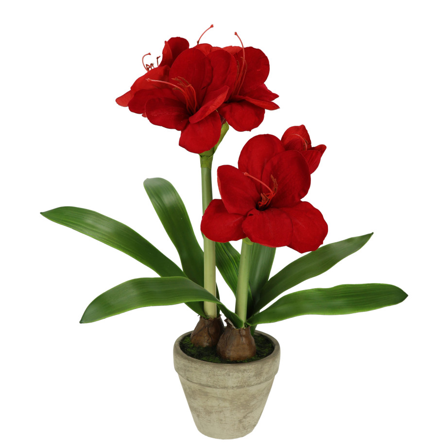 I.GE.A. Kunstbloem Amaryllis in pot 50cm bloem kerstbloem kerstdecoratie winterbloem floristik (1 stuk) afbeelding 1