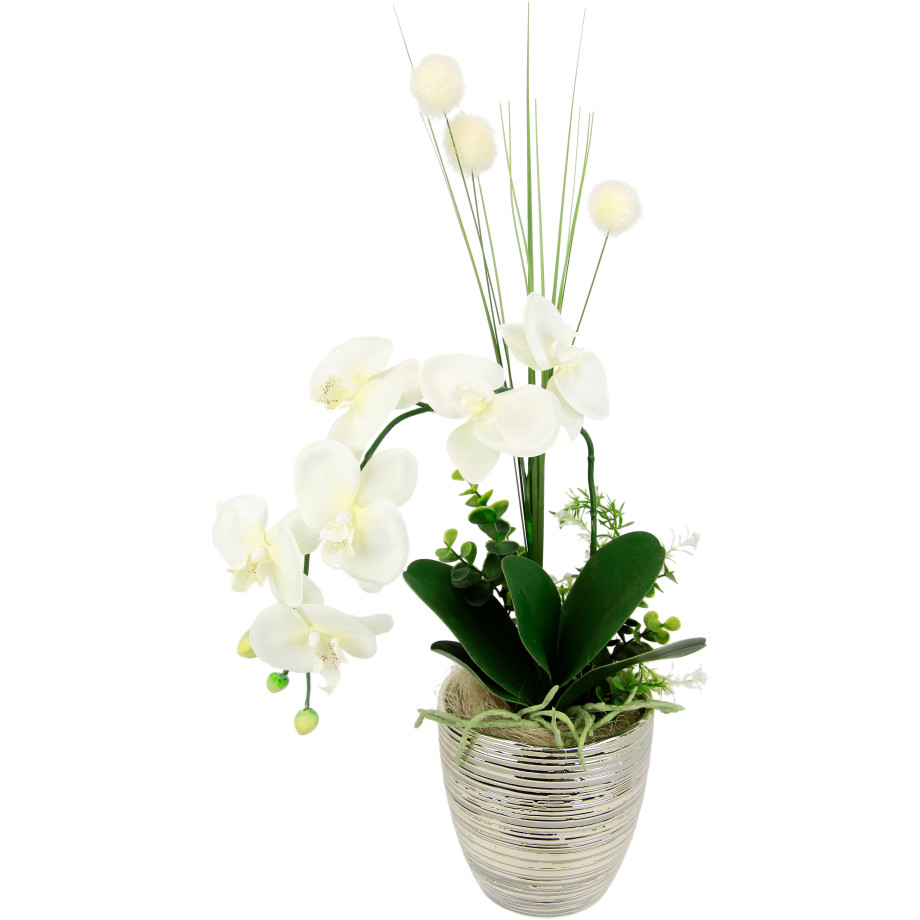 I.GE.A. Kunstbloem Arrangement orchidee/gras (1 stuk) afbeelding 1