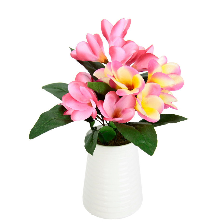 I.GE.A. Kunstbloem Frangipani in Vase aus Keramik (1 stuk) afbeelding 1