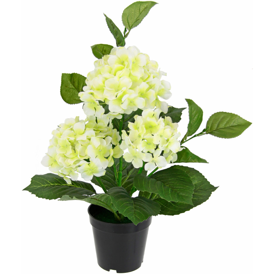 I.GE.A. Kunstbloem Hortensia's (1 stuk) afbeelding 1