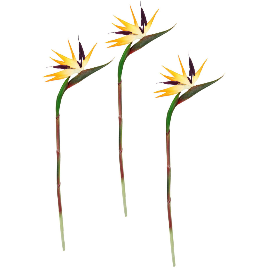 I.GE.A. Kunstbloem Künstliche Blume Strelitzie Paradiesvogelblume Exotischer Dekozweig (3 stuks) afbeelding 1