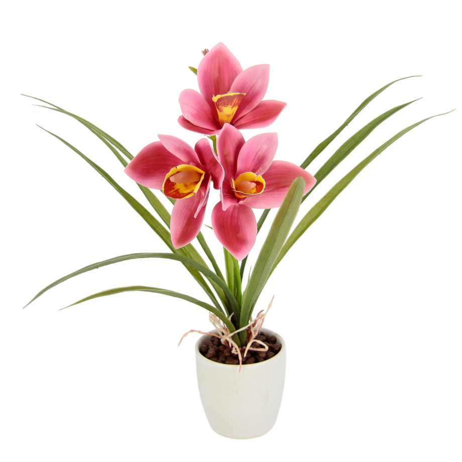 I.GE.A. Kunstbloem Orchidee Met bladeren in pot van keramiek, kunstbloem Cymbidium-orchidee (1 stuk) afbeelding 1