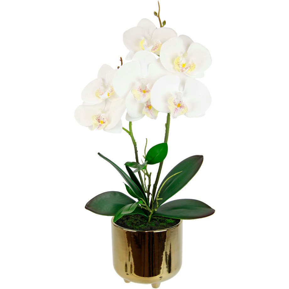 I.GE.A. Kunstbloem Orchidee (1 stuk) afbeelding 1