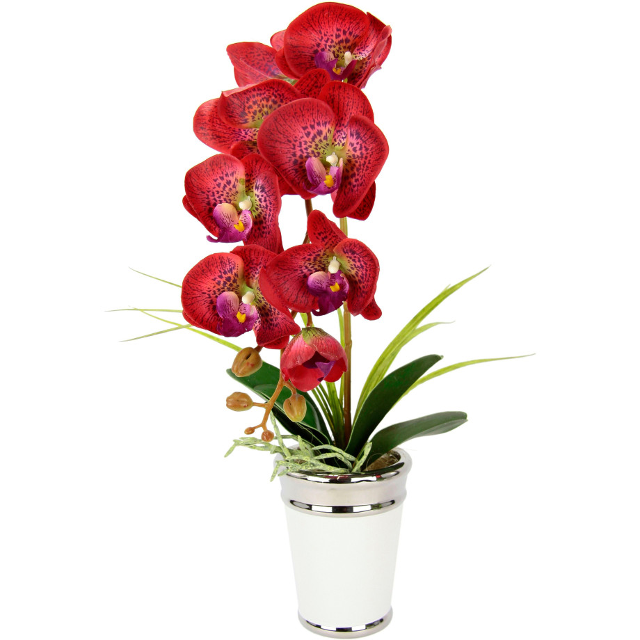 I.GE.A. Kunstbloem Orchidee in pot, van keramiek, zijdenbloem real touch afbeelding 1