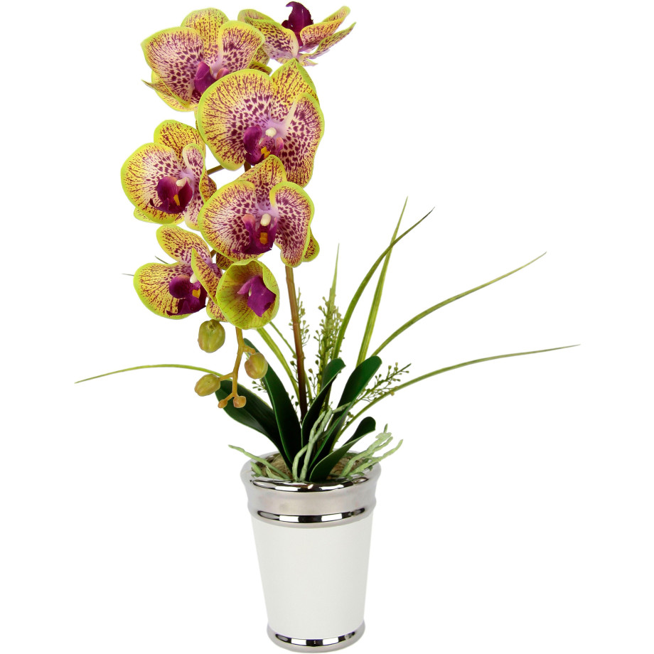 I.GE.A. Kunstbloem Orchidee afbeelding 1