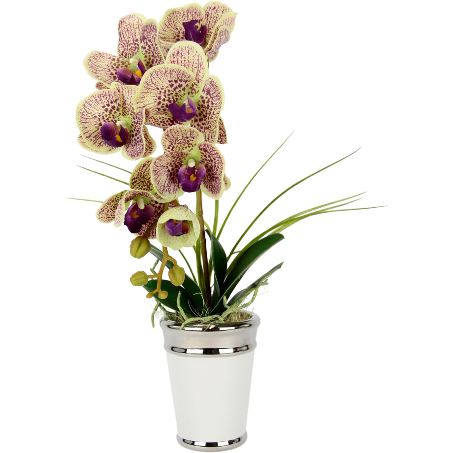 I.GE.A. Kunstbloem Orchidee afbeelding 1