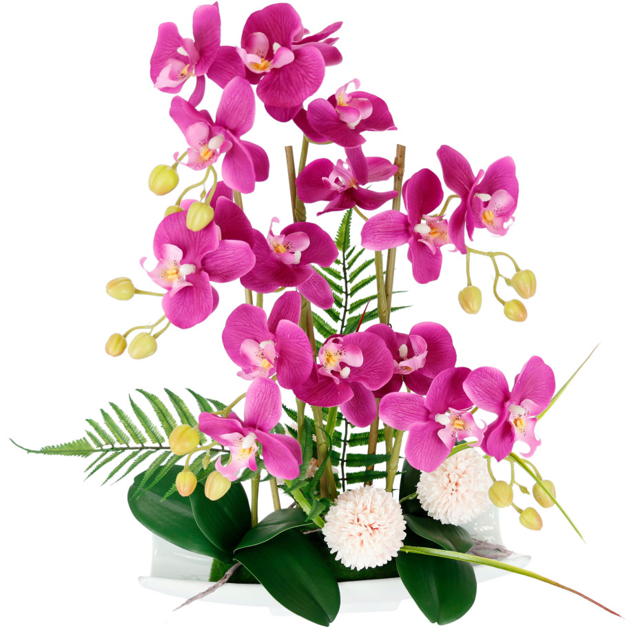 I.GE.A. Kunstbloem Orchideeën (1 stuk) afbeelding 1