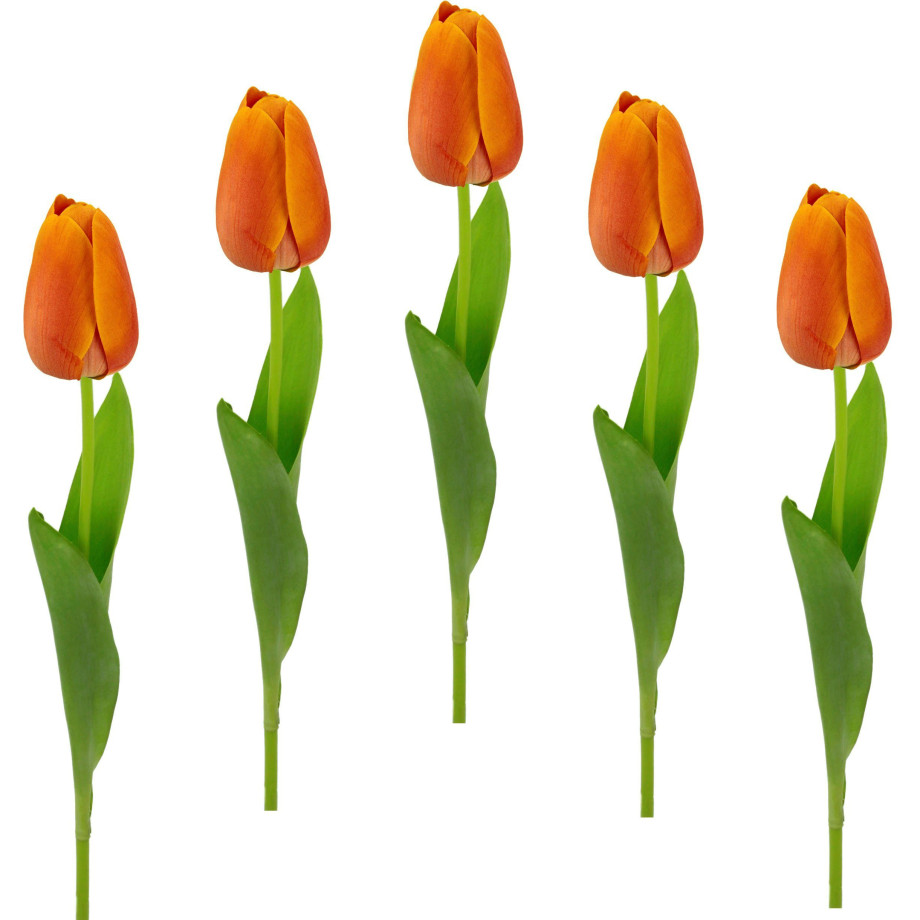 I.GE.A. Kunstbloem Real Touch Tulpen set van 5 kunst-tulpenknoppen kunstbloemen snijbloem (5 stuks) afbeelding 1