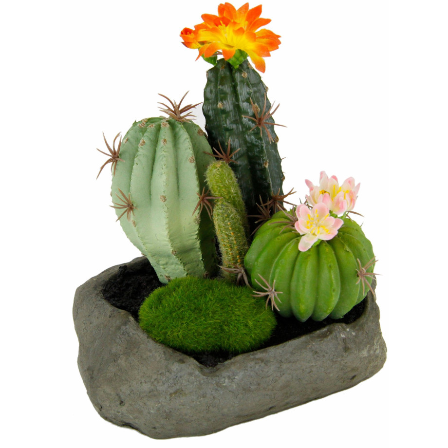 I.GE.A. Kunstplant Cactussen (1 stuk) afbeelding 1