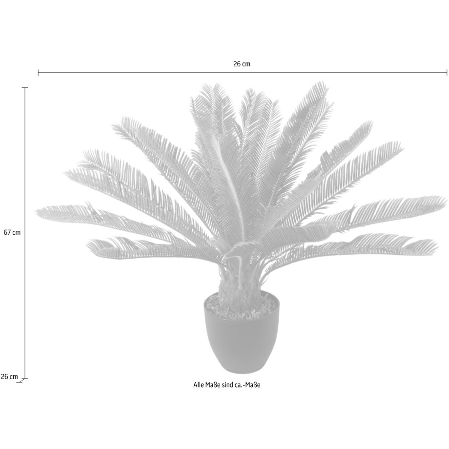 I.GE.A. Kunstplant Cycaspalm in pot (1 stuk) afbeelding 1