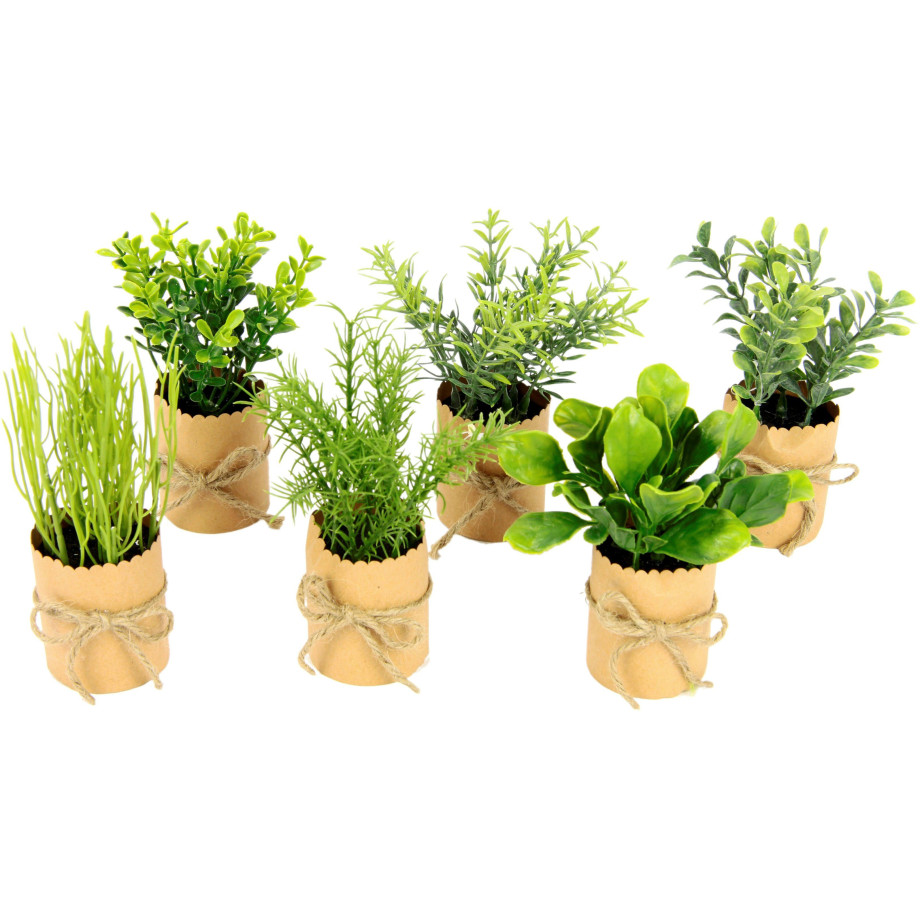 I.GE.A. Kunstplant Kruidenassortiment in papieren pot, met juteband, set van 6 (6 stuks) afbeelding 1