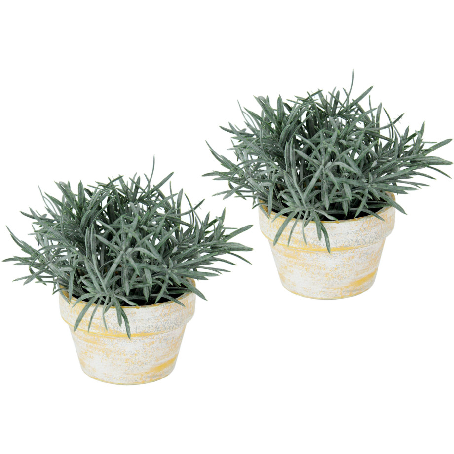 I.GE.A. Kunstplant Kunstmatige podocarpus in pot 2-pack (2 stuks) afbeelding 1