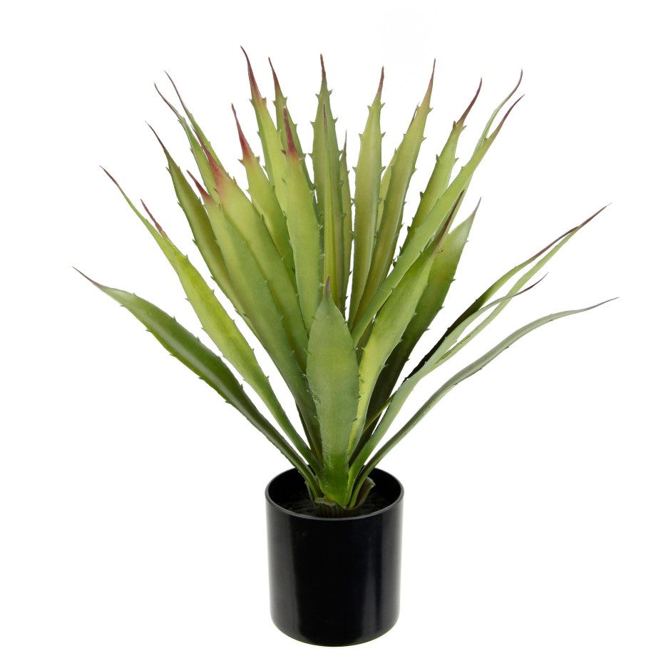 I.GE.A. Kunstplant Kunstmatige agave aloe vera in pot kunstplant (1 stuk) afbeelding 1