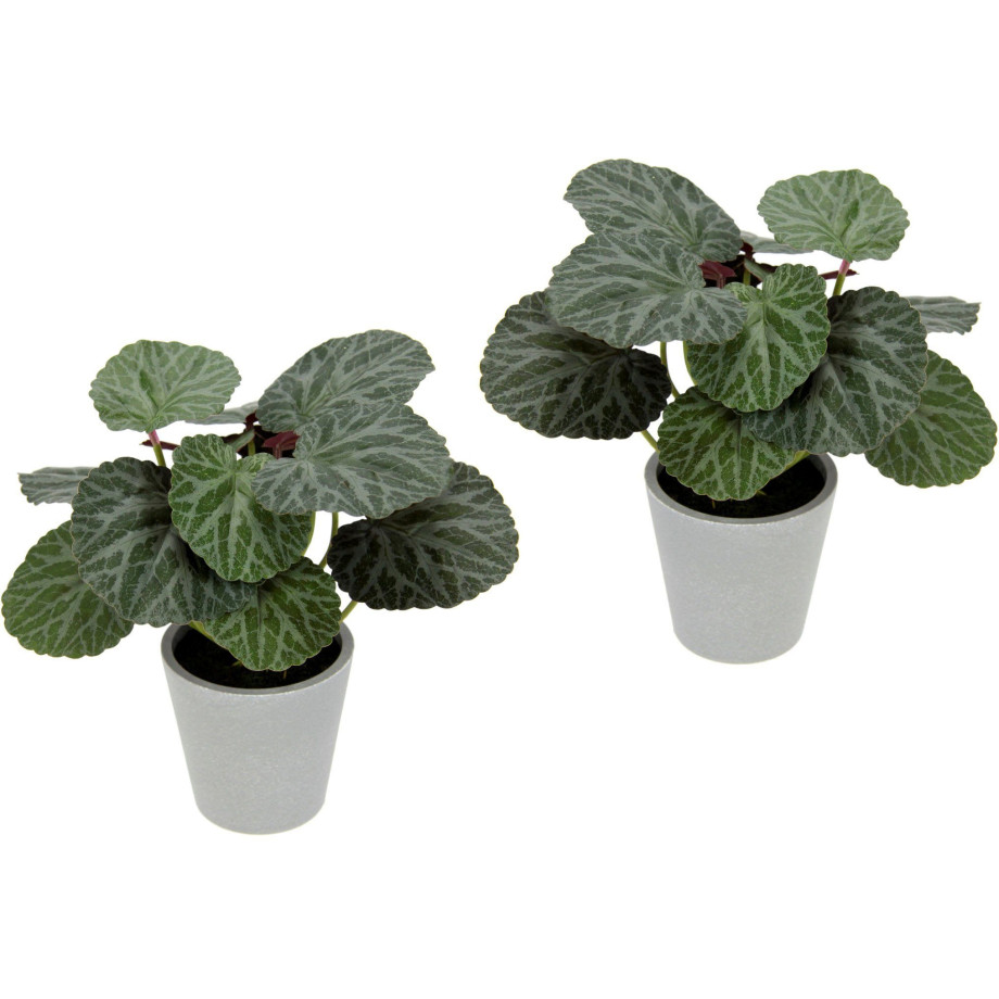 I.GE.A. Kunstplant Kunstmatige plant begonia in pot begonia struik bladplant (2 stuks) afbeelding 1