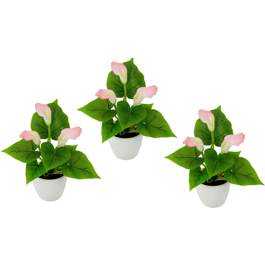 I.GE.A. Kunstplant Mini calla (set, 3 stuks) afbeelding 1