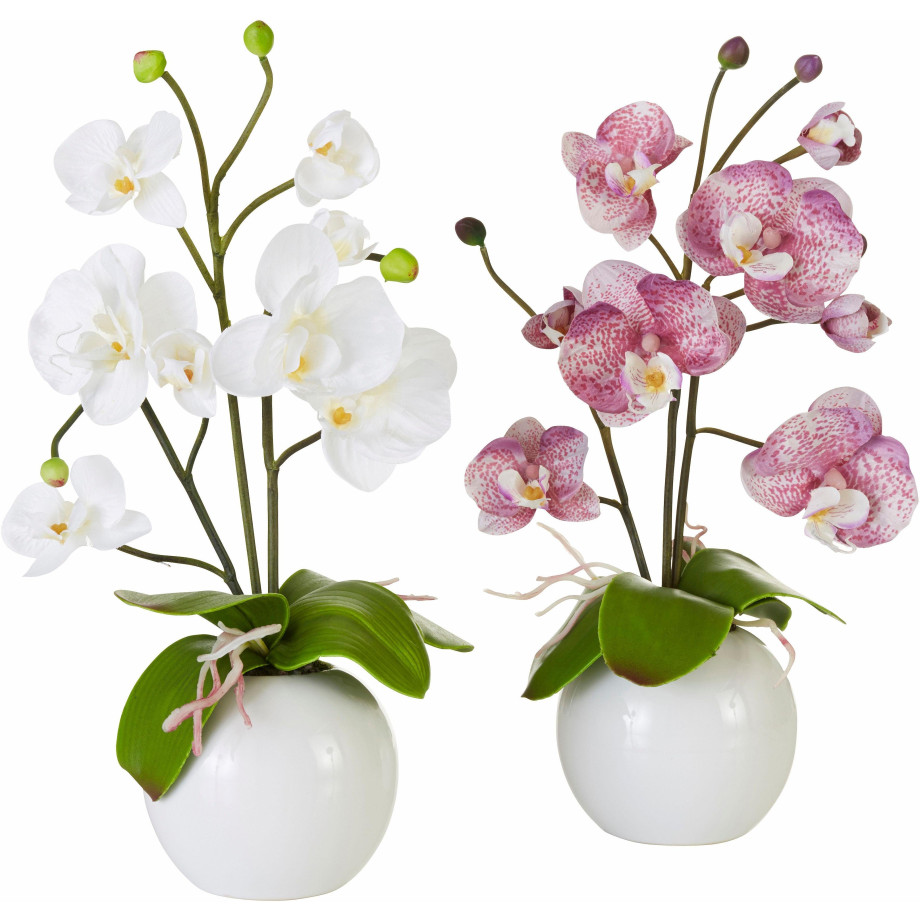 I.GE.A. Kunstplant Orchidee (set, 2 stuks) afbeelding 1