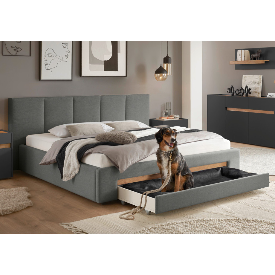 INOSIGN Gestoffeerd bed CiTY/GiRON, bedframe met bedlade, gestoffeerd opbergbed met hondenbed of opberglade, bekleding van corduroy of linnenlook afbeelding 1