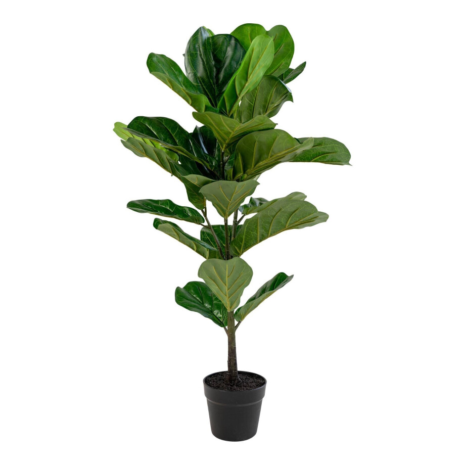 Kunstplant Ficus | House Nordic afbeelding 1