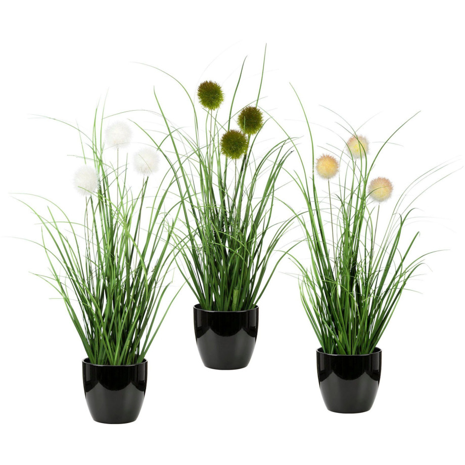 Leonique Kunstgras Grasbundel met bollen Kunstplant, gras, in pot, 3-pack, bestseller (set, 3 stuks) afbeelding 1