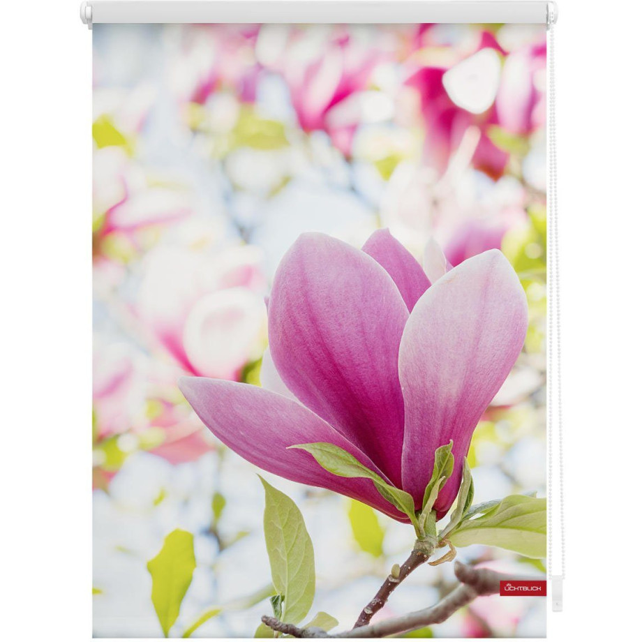 LICHTBLICK Rolgordijn met zijbediening Rolgordijn Klemmfix, zonder boren, verduistering, magnolia - roze (1 stuk) afbeelding 1