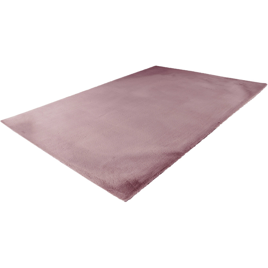 Padiro Vloerkleed Rabbit Light 525 afbeelding 1