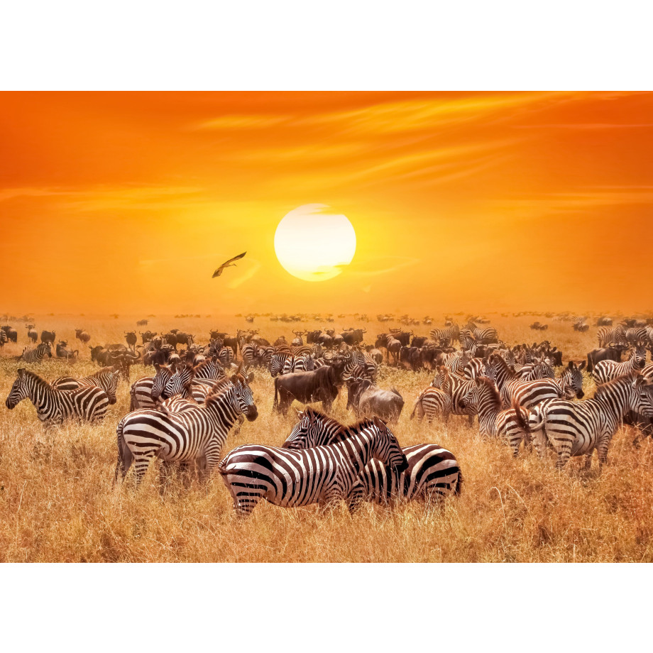 Papermoon Fotobehang African Antelopes and zebra’s afbeelding 1