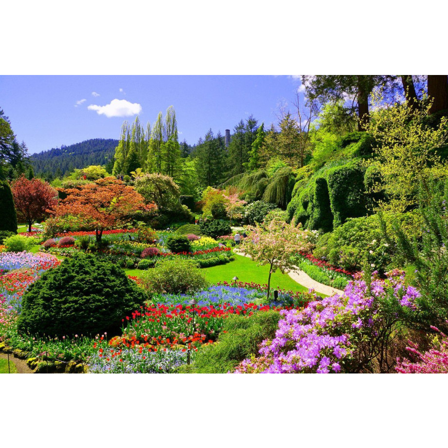 Papermoon Fotobehang Butchart Gardens Vliesbehang, eersteklas digitale print afbeelding 1