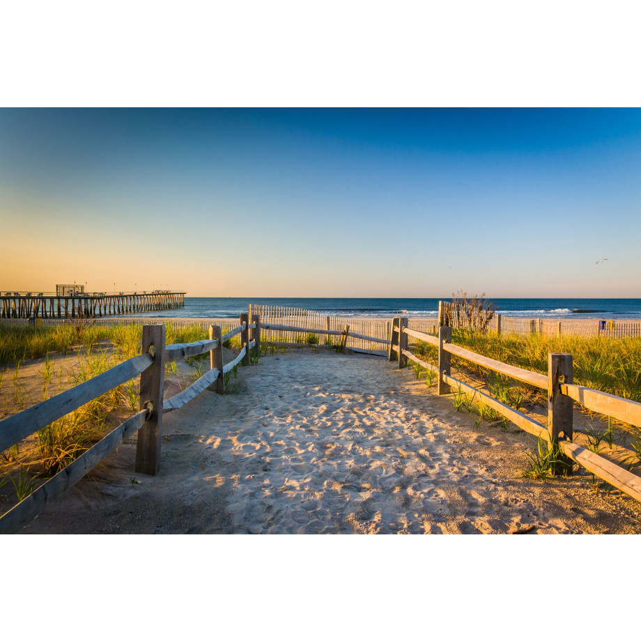 Papermoon Fotobehang Dunes Atlantic ocean afbeelding 1