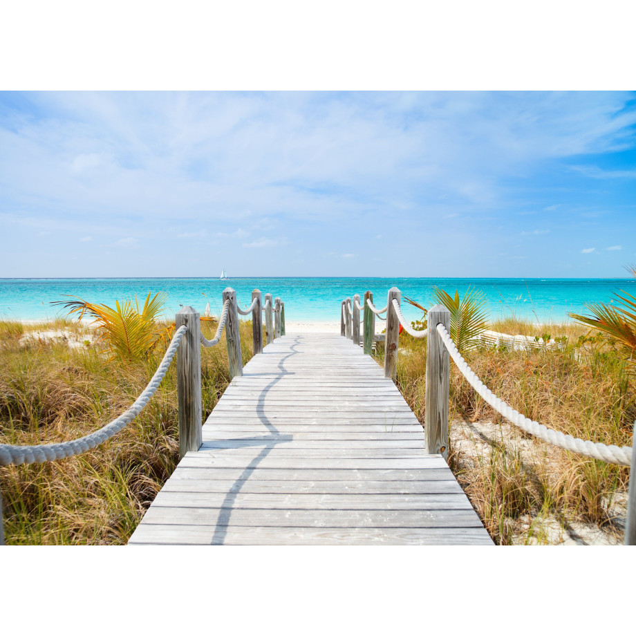 Papermoon Fotobehang Dunes Carribean beach afbeelding 1