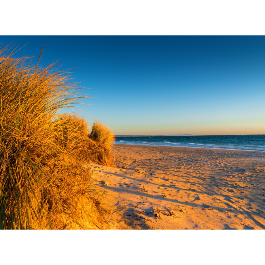 Papermoon Fotobehang Dunes Chelsea beach Australia afbeelding 1