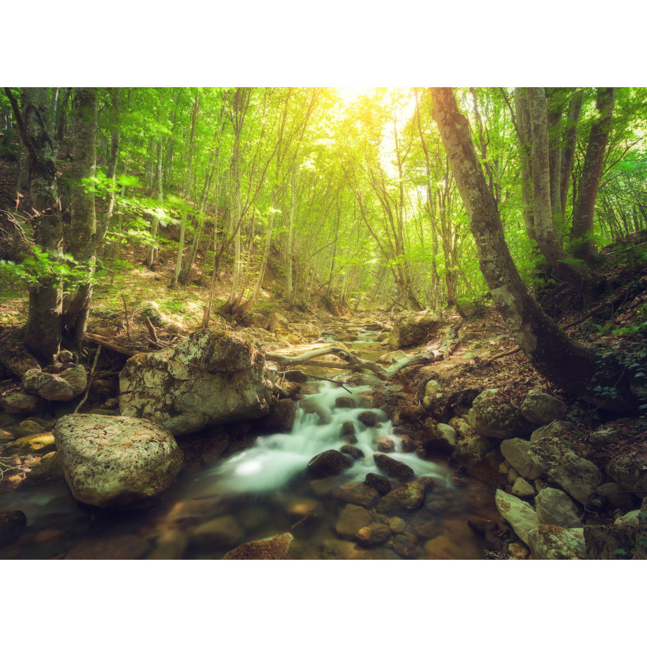Papermoon Fotobehang Forest Creek afbeelding 1