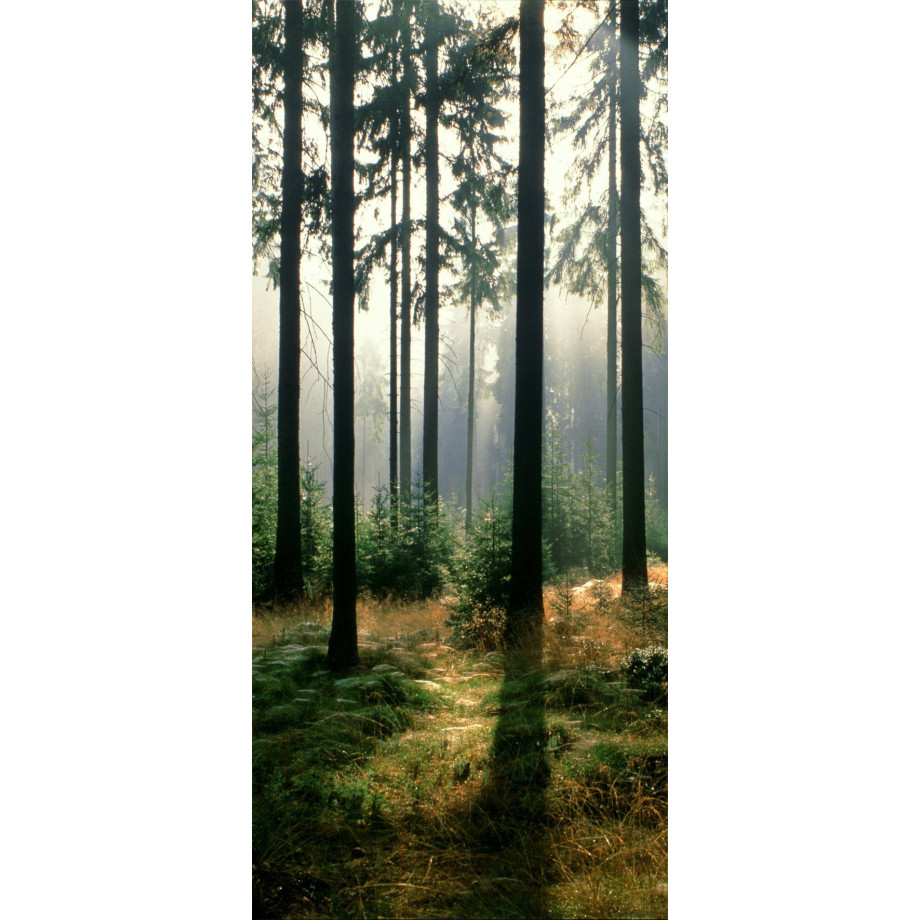 Papermoon Fotobehang Forest - Deurbehang Vlies, 2 banen, 90x 200 cm (2-delig) afbeelding 1