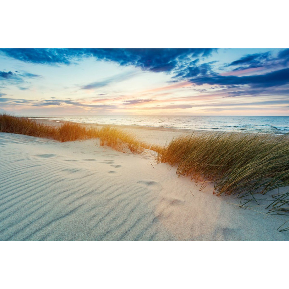 Papermoon Fotobehang Grasduinen bij zonsondergang Vliesbehang, eersteklas digitale print afbeelding 1