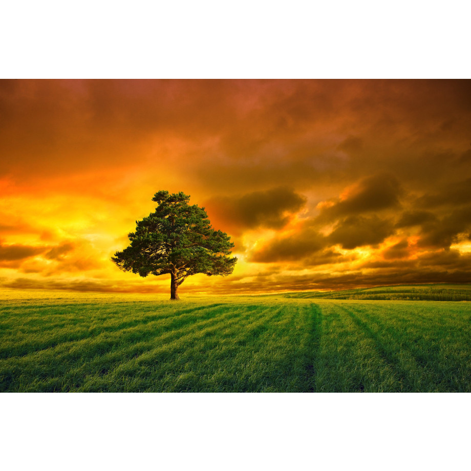 Papermoon Fotobehang Horizon Sunset afbeelding 1