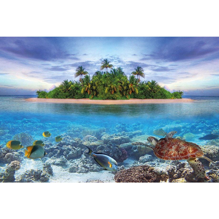 Papermoon Fotobehang Marine Life Maldives afbeelding 1