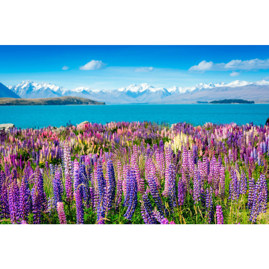 Papermoon Fotobehang Montain Lake with Flowers afbeelding 1